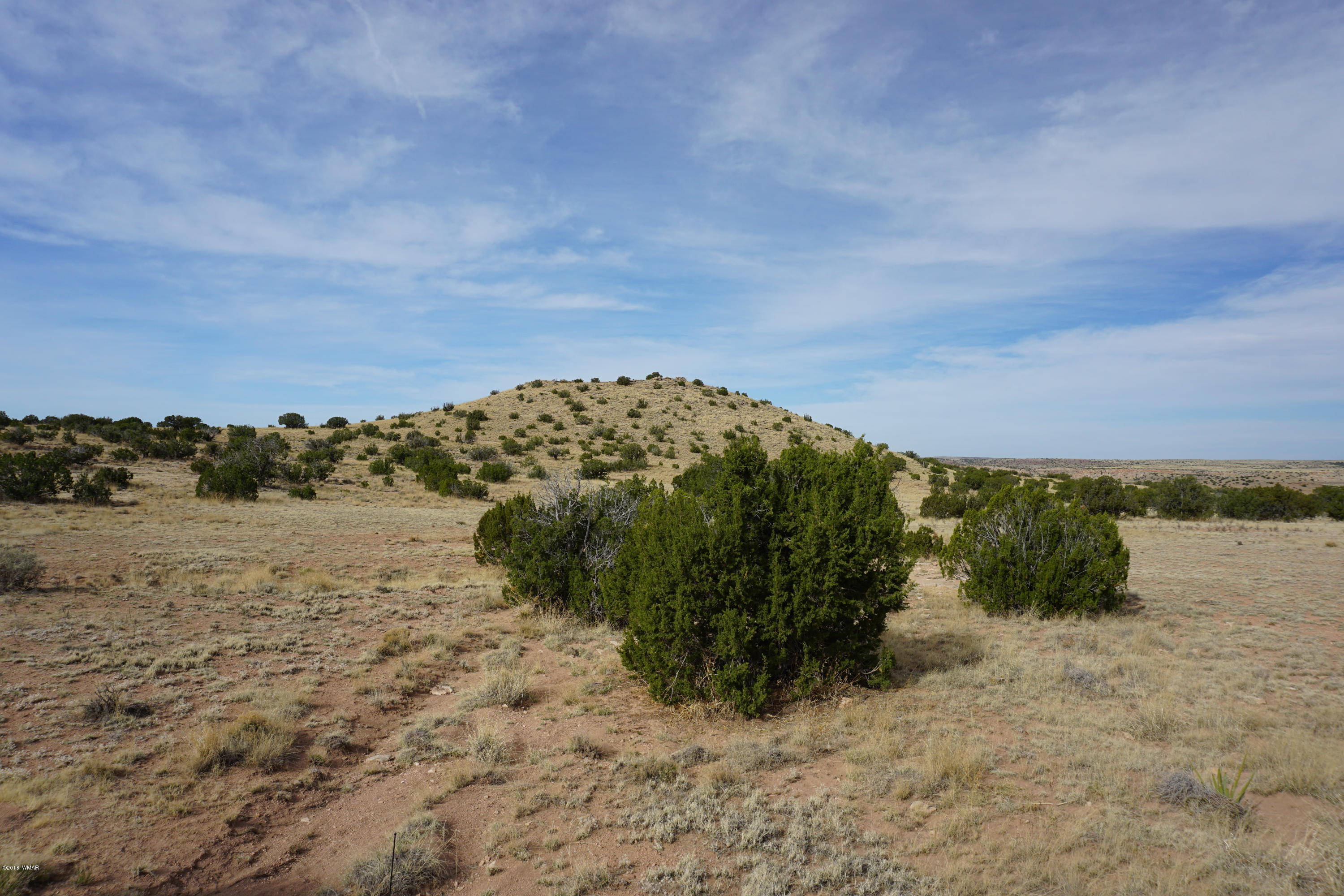 Lot 123 River Springs Ranch St. Johns, AZ 85936 - Photo 6 of 23