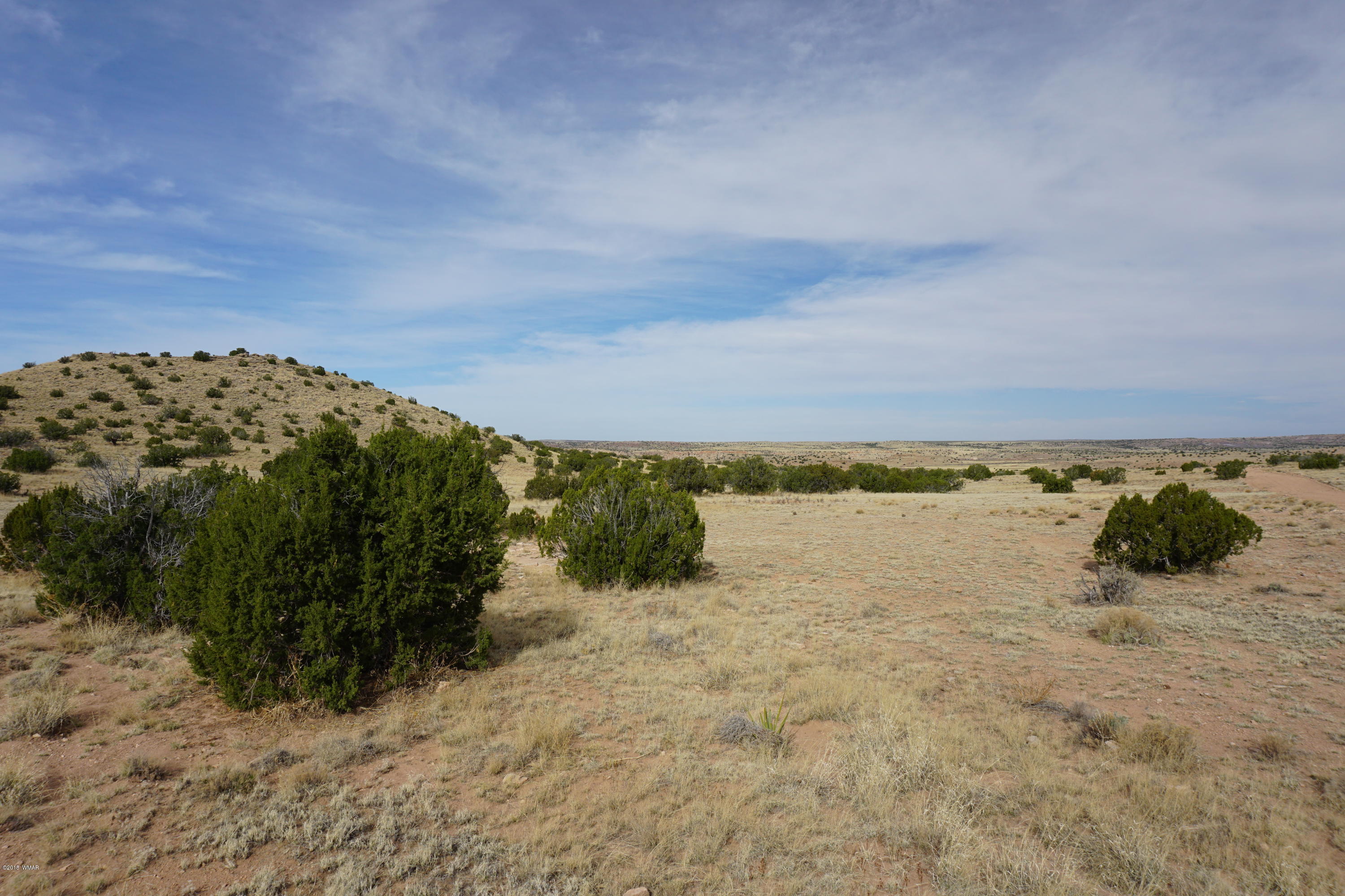 Lot 123 River Springs Ranch St. Johns, AZ 85936 - Photo 7 of 23