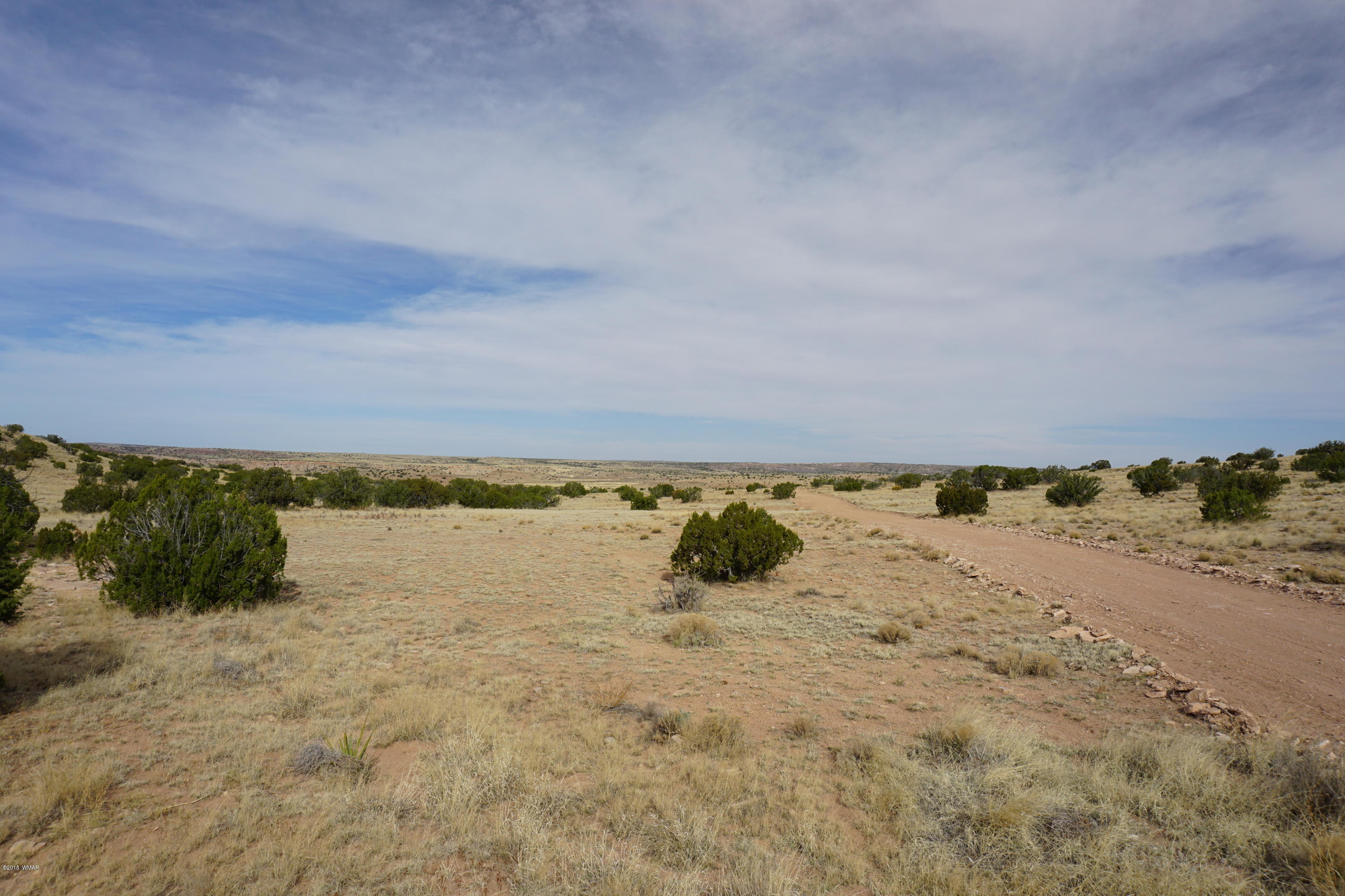Lot 123 River Springs Ranch St. Johns, AZ 85936 - Photo 8 of 23