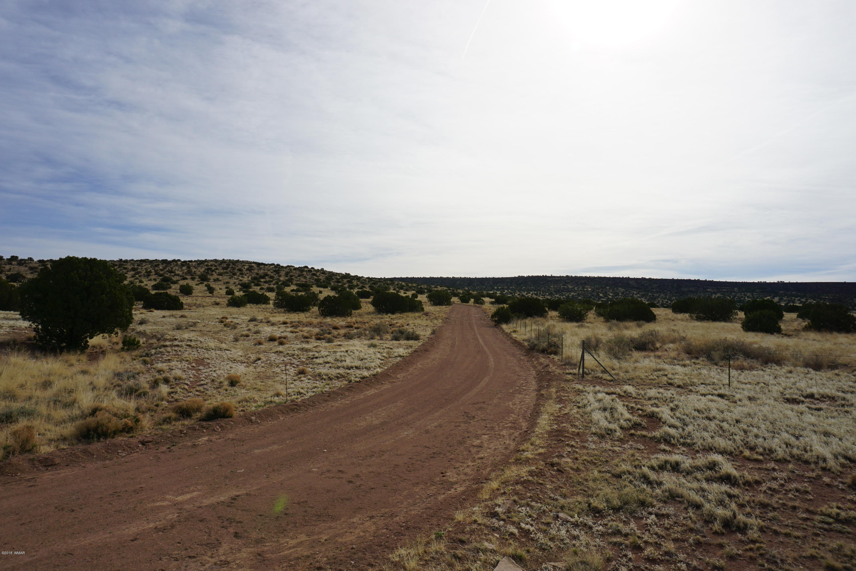 Lot 123 River Springs Ranch St. Johns, AZ 85936 - Photo 9 of 23