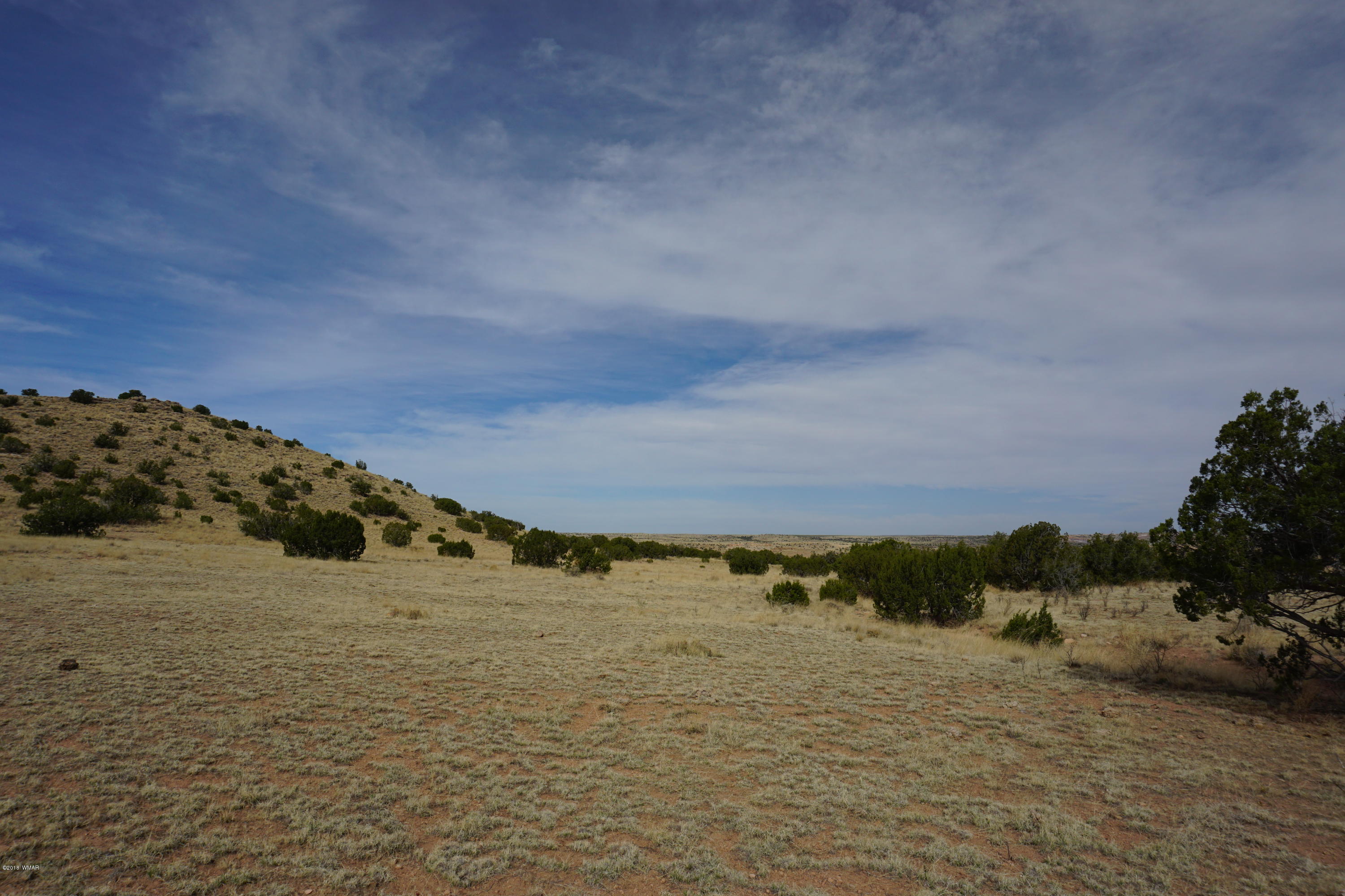 Lot 123 River Springs Ranch St. Johns, AZ 85936 - Photo 10 of 23