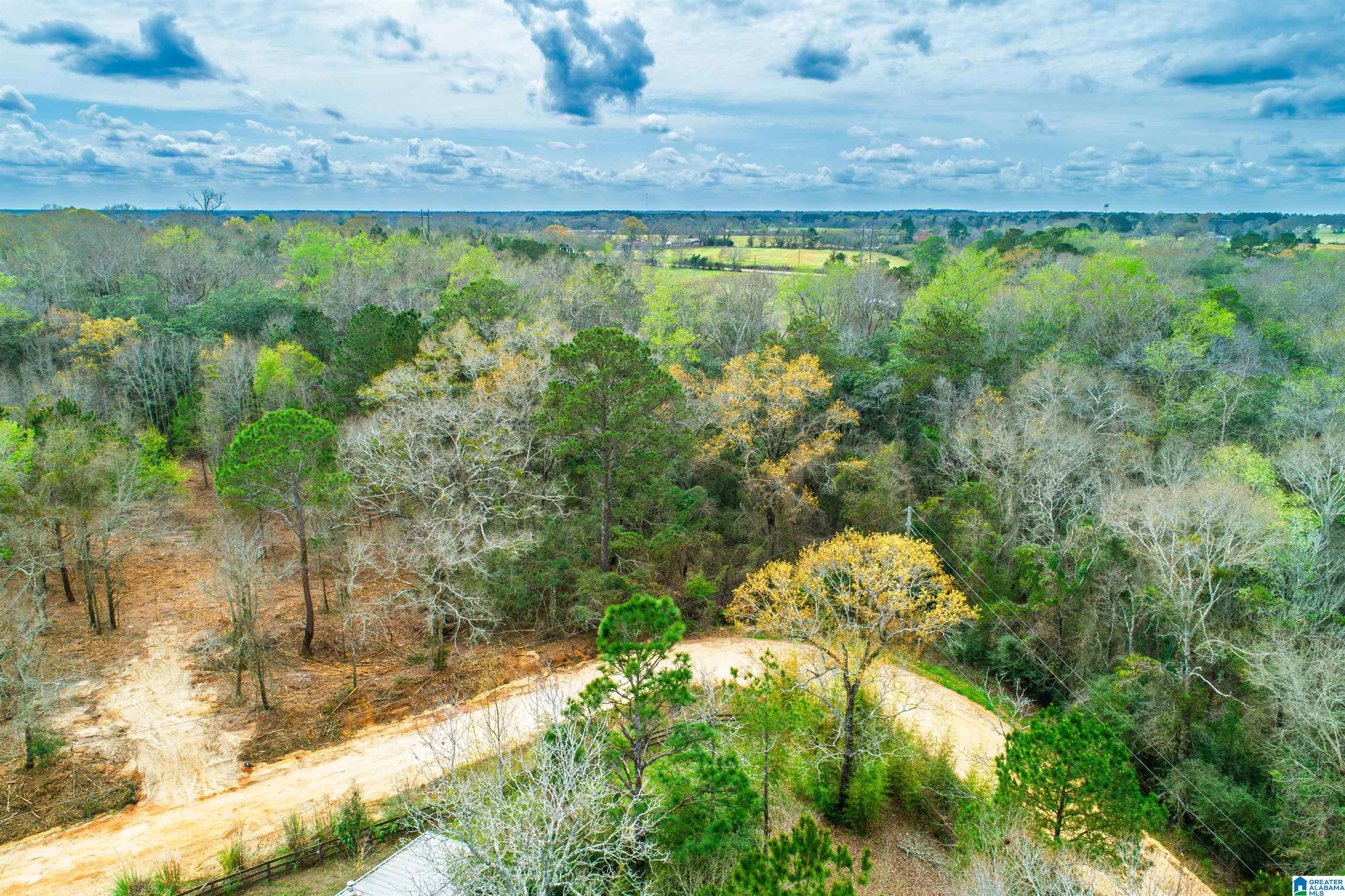 27180 Deer Run Road Opp, AL 36467 - Photo 22 of 60