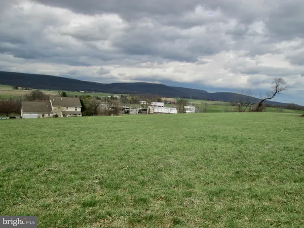a view of a big yard with a house in the background