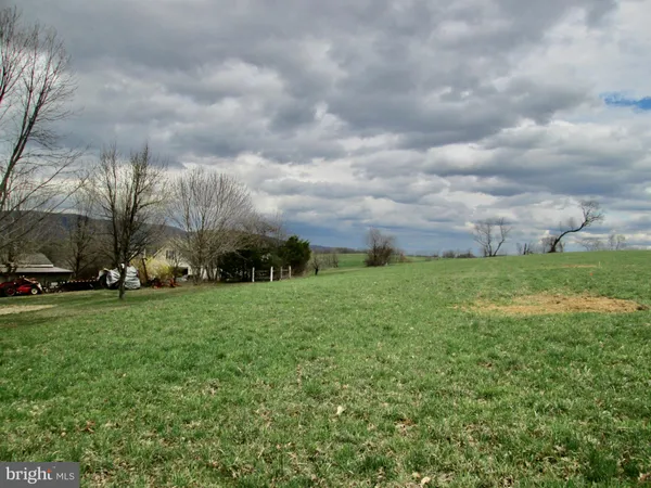 a view of an outdoor space and a yard