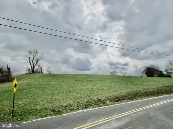 a view of a yard with a street view