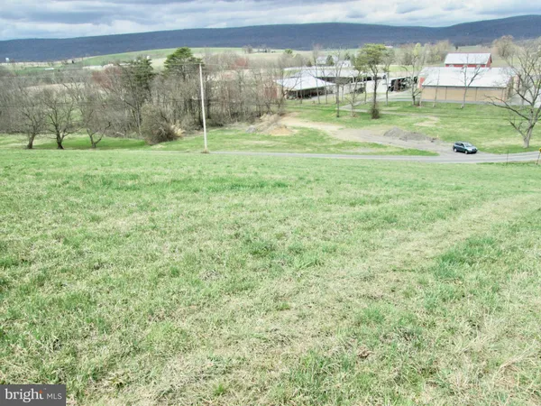 a view of grassy field with trees