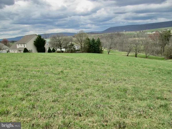 a view of a big yard with lots of green space