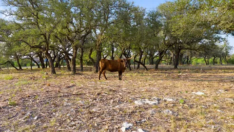 $995,000 | Undisclosed Address, Spicewood, TX 78669