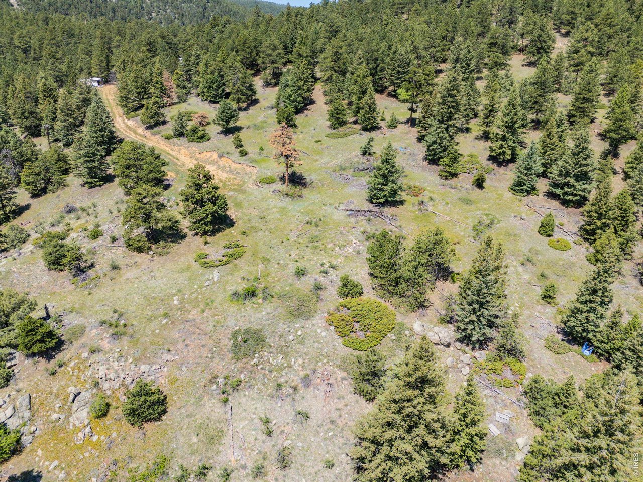2692 Magnolia Road Nederland, CO 80466 - Photo 3 of 22