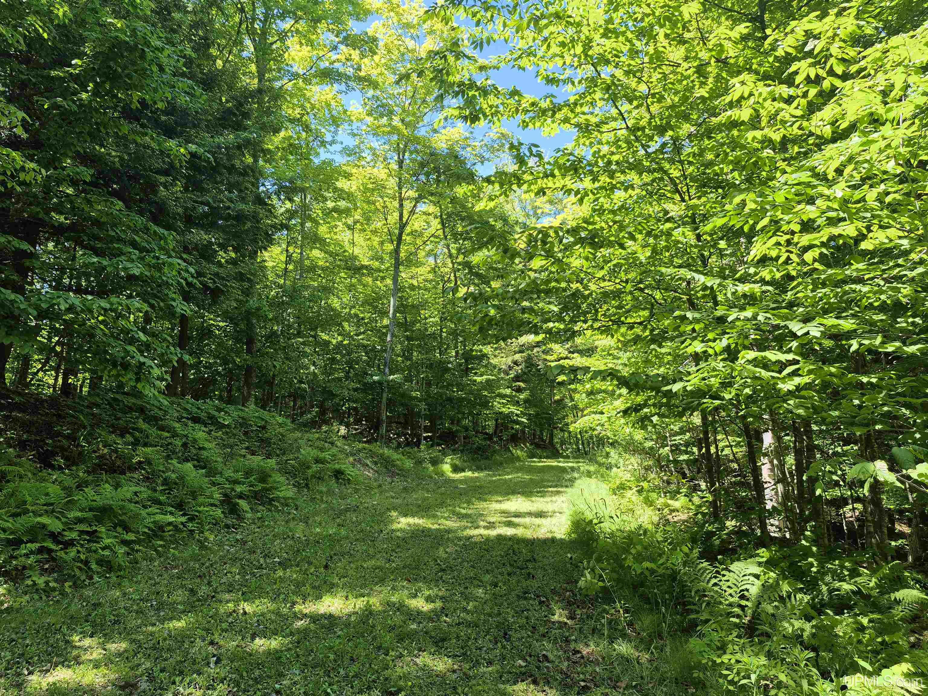 8-acres Nestor Road Munising, MI 49862 - Photo 15 of 43