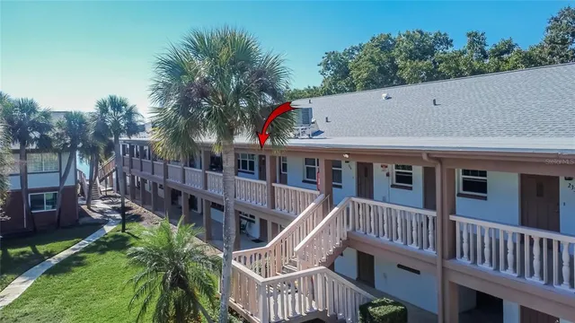 a view of a palm tree from a balcony