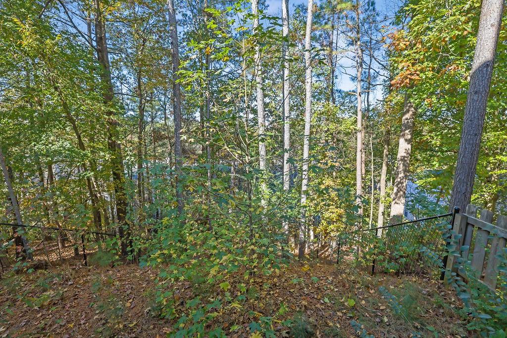 4085 Spring Cove Drive Duluth, GA 30097 - Photo 45 of 45 a view of a house with a tree