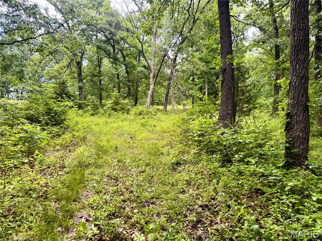 13628 Thorn Berry Road New London, MO 63459 - Photo 7 of 9