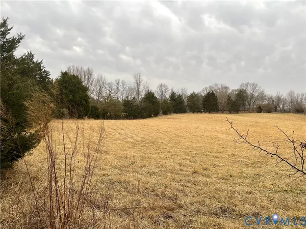 a view of yard with trees