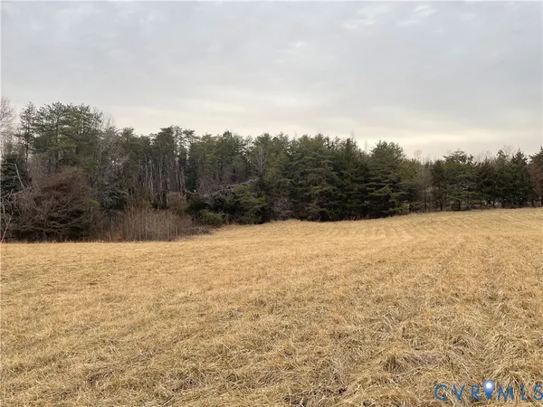 a view of terrace with tree
