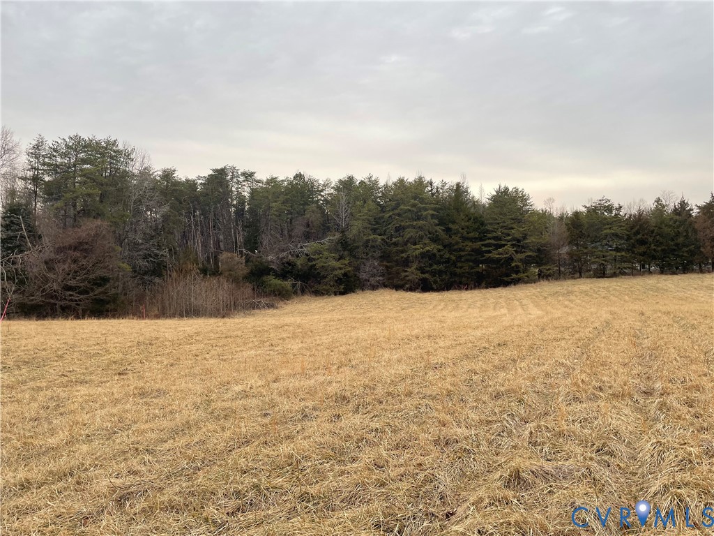 36 Rhodes Lane Cartersville, VA 23027 - Photo 4 of 10