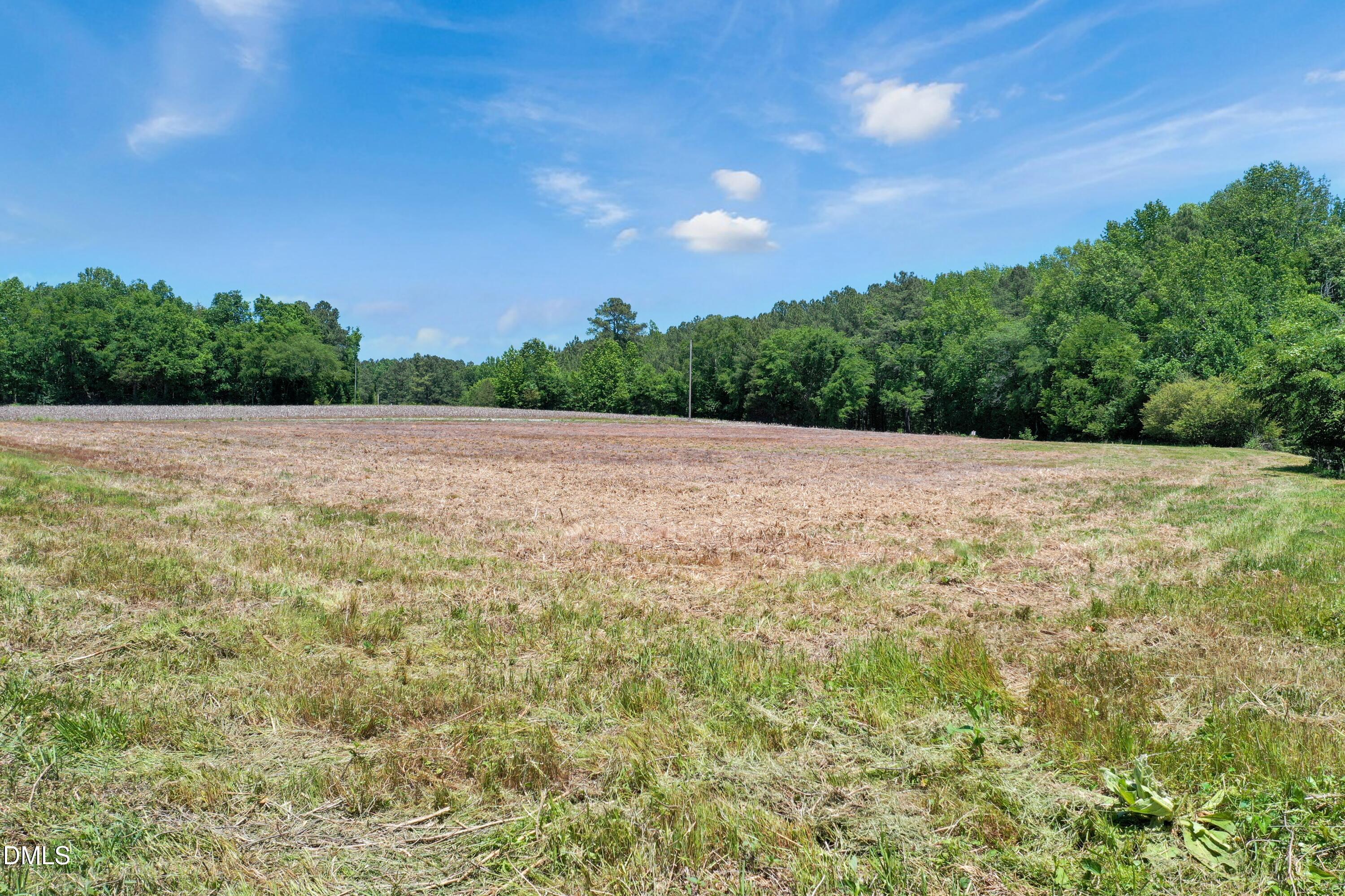 522 Mays Crossroad Road Franklinton, NC 27525 - Photo 5 of 23