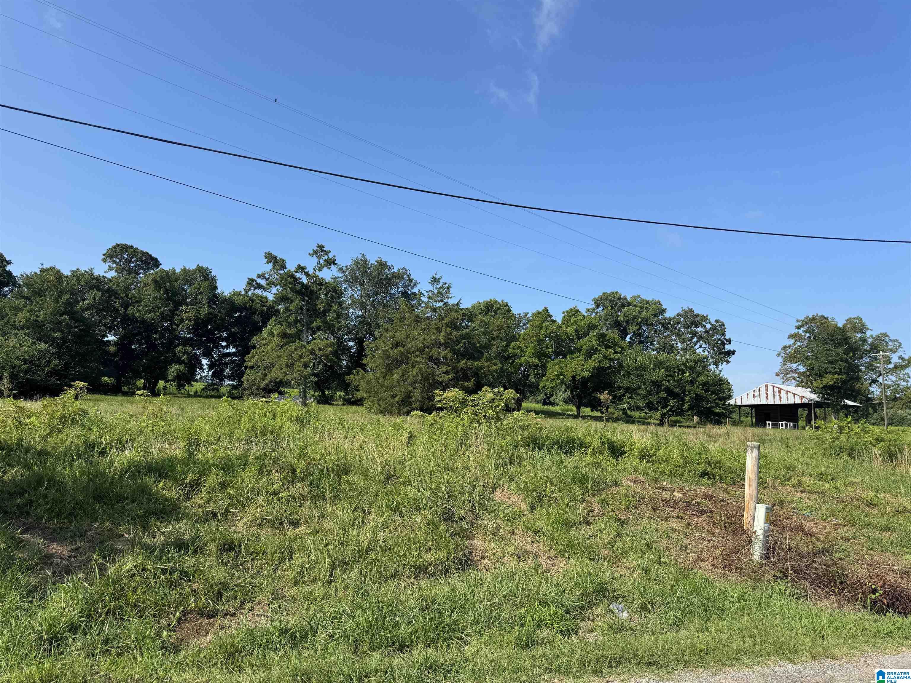 0 County Highway 27, Unit 47 Springville, AL 35146 - Photo 20 of 53