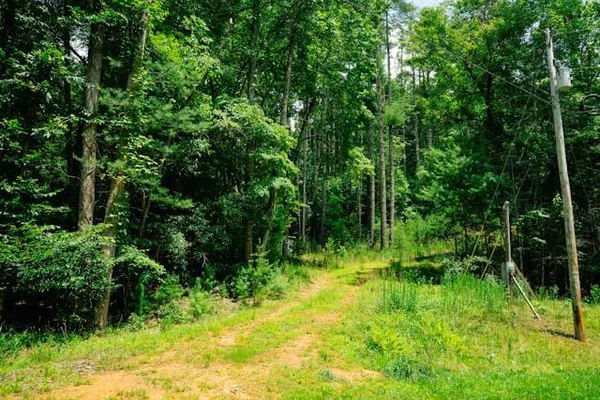 $98,500 | Lot 11 Quail Cove Circle, Warne, NC 28909