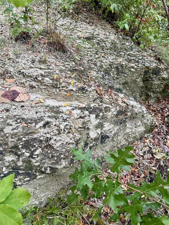 7225 Scyene Road Dallas, TX 75227 - Photo 8 of 9