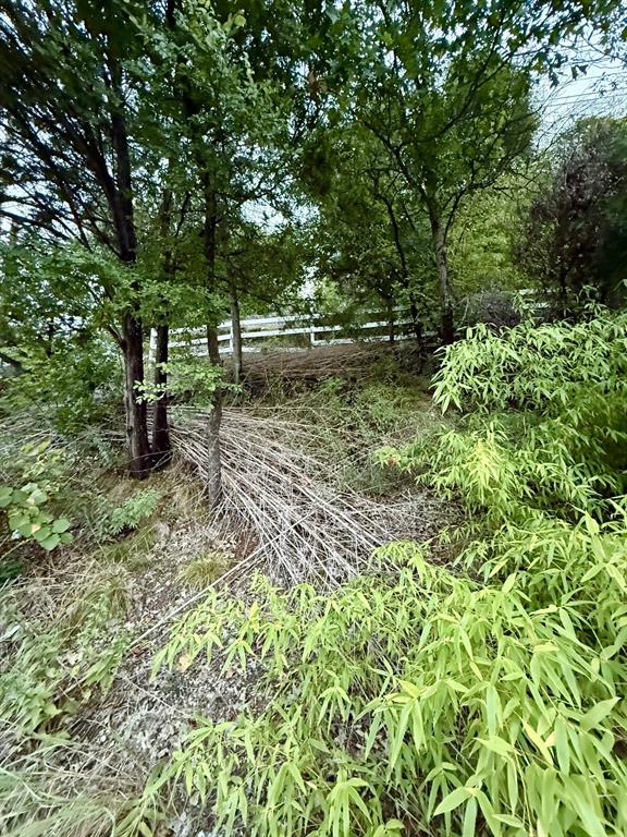 7225 Scyene Road Dallas, TX 75227 - Photo 9 of 9