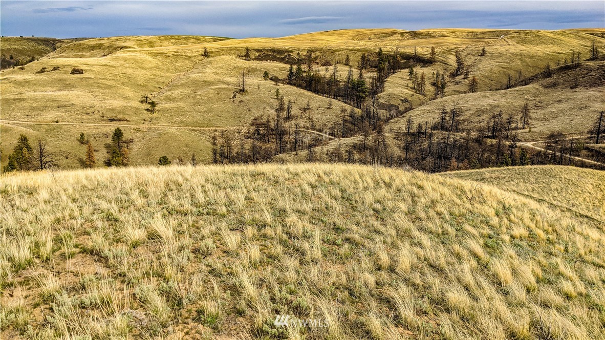 40 Rocky Road West Orondo, WA 98843 - Photo 11 of 40 Gallery Image 11