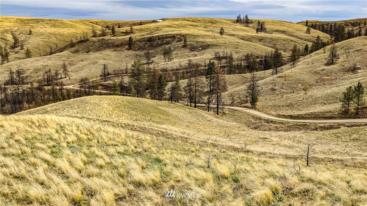 40 Rocky Road West Orondo, WA 98843 - Photo 12 of 40 Gallery Image 12