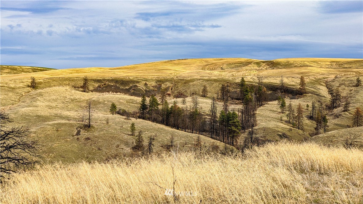 40 Rocky Road West Orondo, WA 98843 - Photo 15 of 40 Gallery Image 15