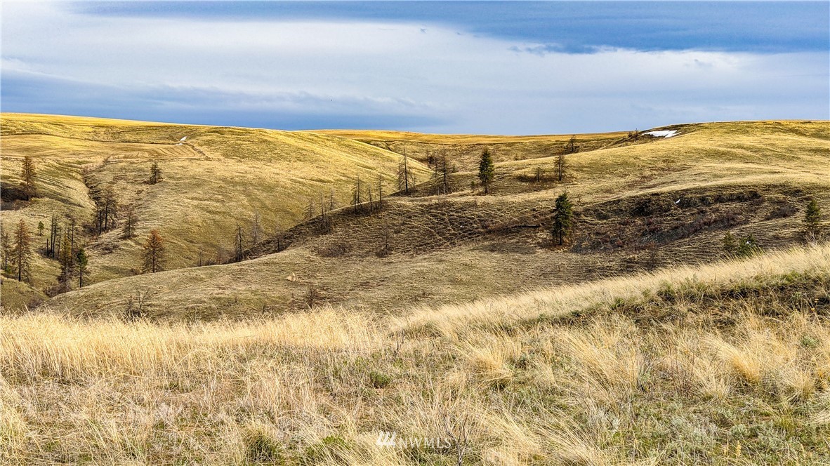 40 Rocky Road West Orondo, WA 98843 - Photo 16 of 40 Gallery Image 16