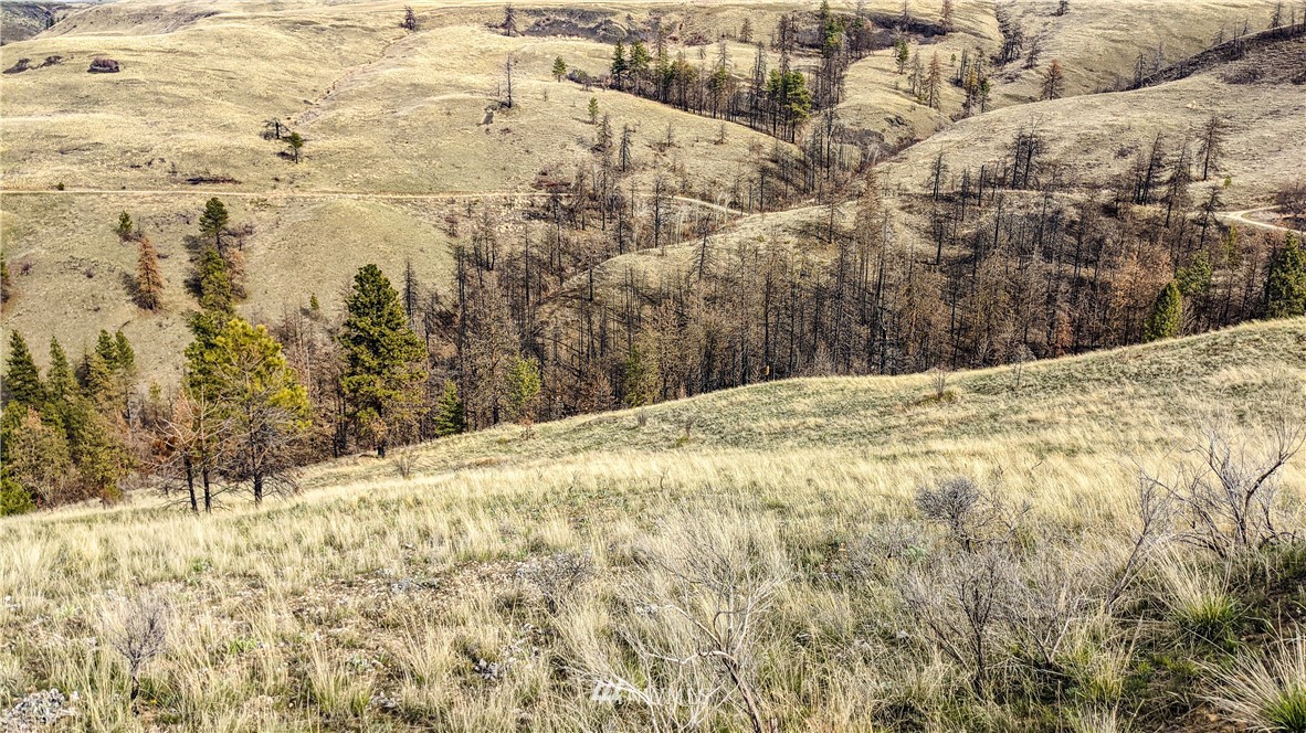 40 Rocky Road West Orondo, WA 98843 - Photo 17 of 40 Gallery Image 17