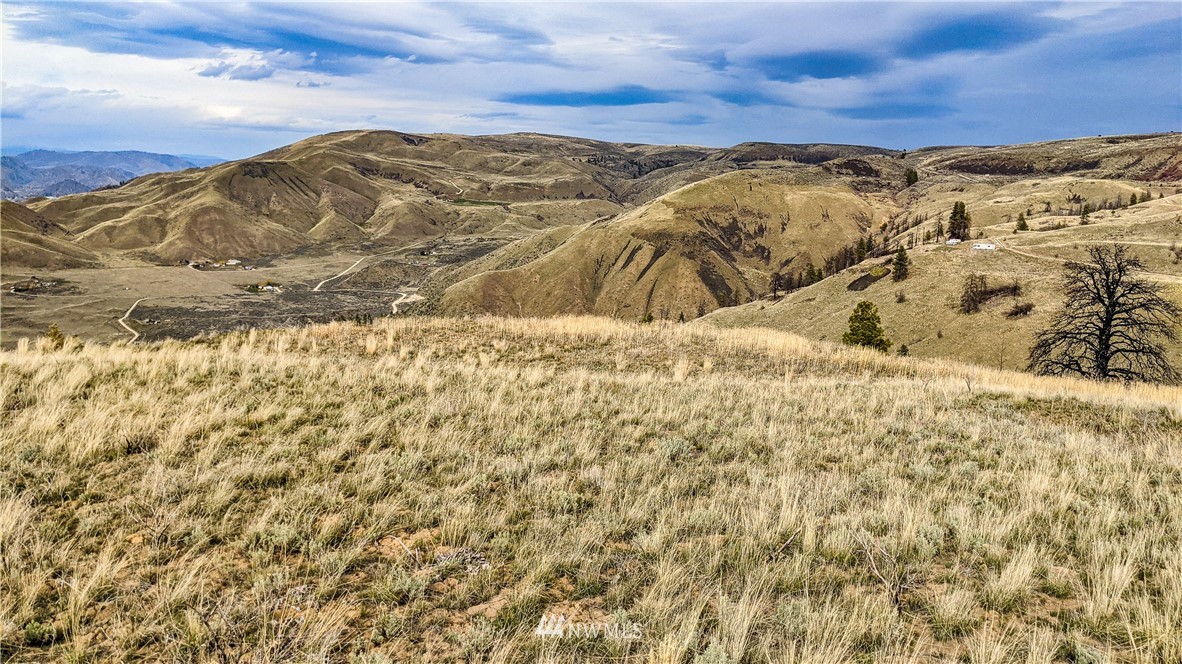40 Rocky Road West Orondo, WA 98843 - Photo 19 of 40 Gallery Image 19