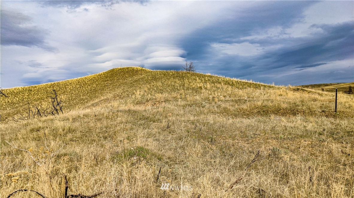 40 Rocky Road West Orondo, WA 98843 - Photo 20 of 40 Gallery Image 20