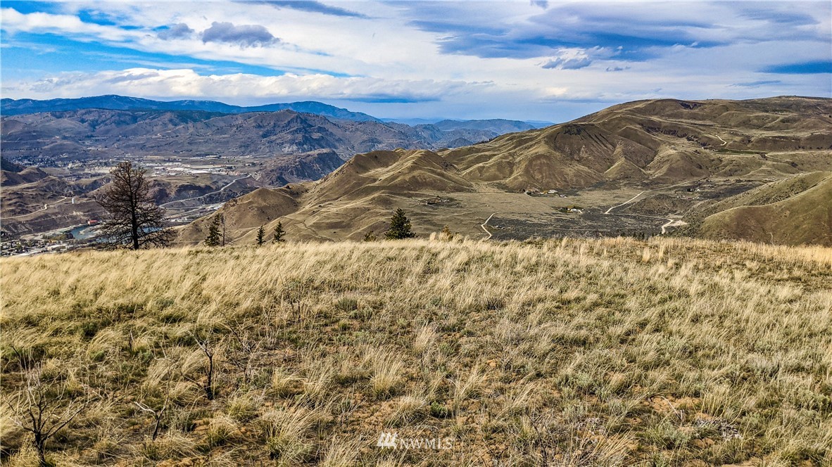 40 Rocky Road West Orondo, WA 98843 - Photo 3 of 40 Gallery Image 3