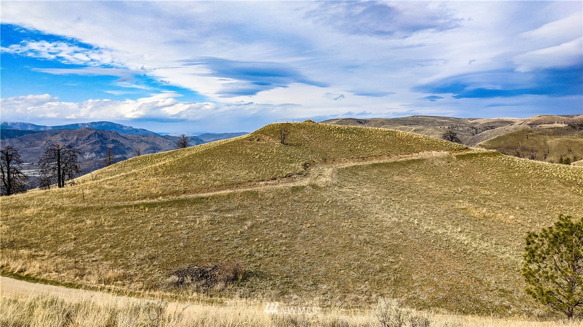 40 Rocky Road West Orondo, WA 98843 - Photo 21 of 40 Gallery Image 21