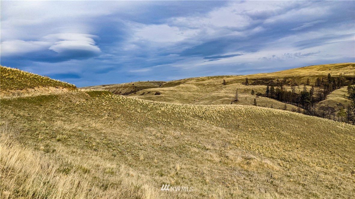 40 Rocky Road West Orondo, WA 98843 - Photo 22 of 40 Gallery Image 22