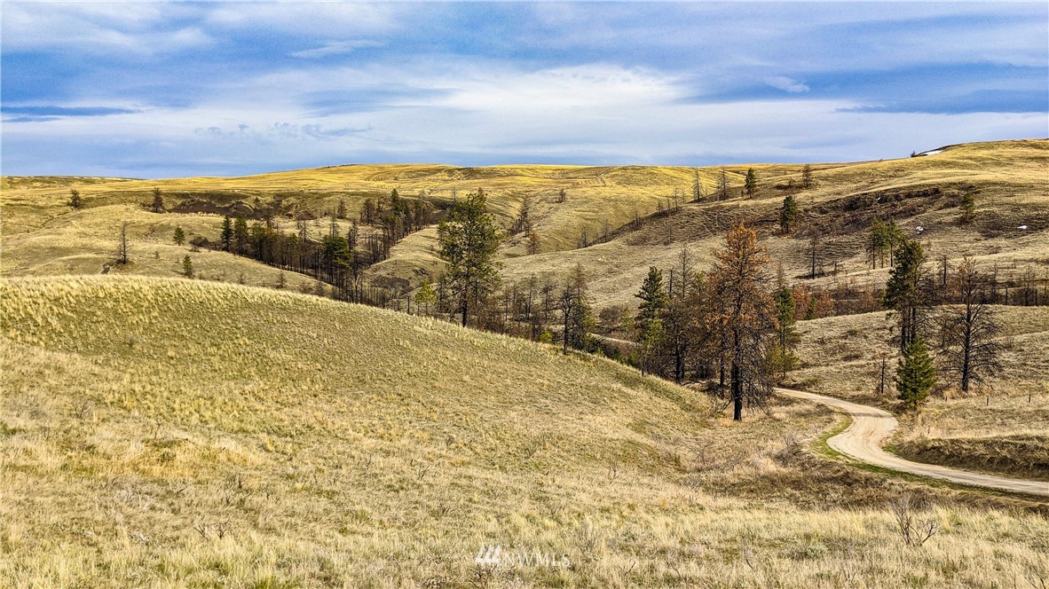 40 Rocky Road West Orondo, WA 98843 - Photo 23 of 40 Gallery Image 23
