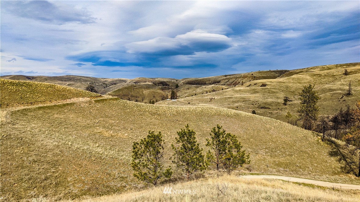 40 Rocky Road West Orondo, WA 98843 - Photo 25 of 40 Gallery Image 25