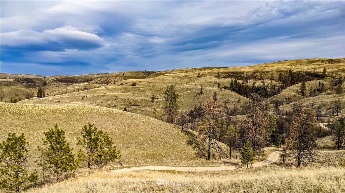 40 Rocky Road West Orondo, WA 98843 - Photo 26 of 40 Gallery Image 26