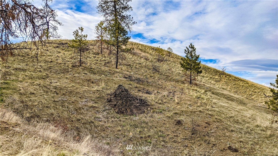 40 Rocky Road West Orondo, WA 98843 - Photo 27 of 40 Gallery Image 27