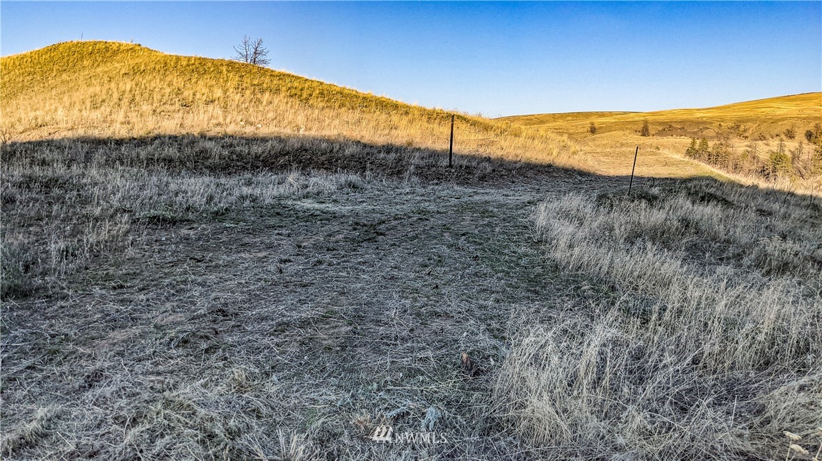 40 Rocky Road West Orondo, WA 98843 - Photo 29 of 40 Gallery Image 29