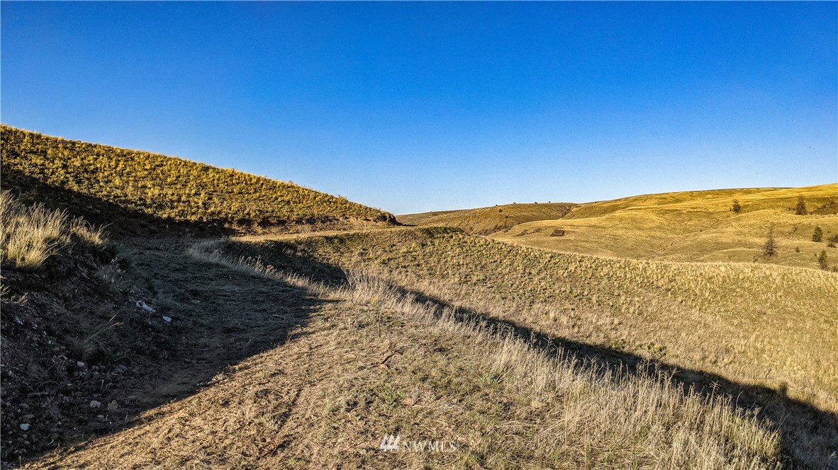 40 Rocky Road West Orondo, WA 98843 - Photo 31 of 40 Gallery Image 31