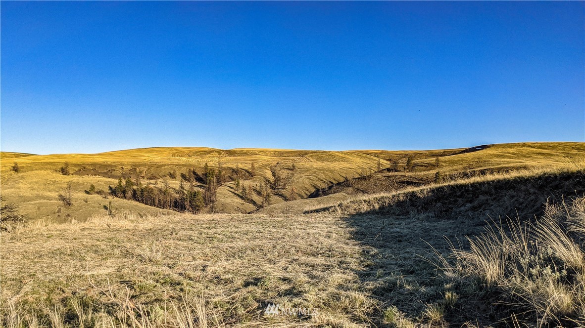 40 Rocky Road West Orondo, WA 98843 - Photo 34 of 40 Gallery Image 34