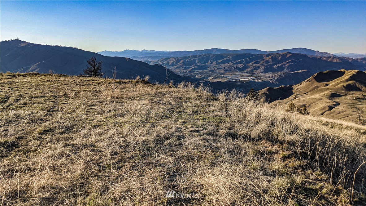 40 Rocky Road West Orondo, WA 98843 - Photo 35 of 40 Gallery Image 35