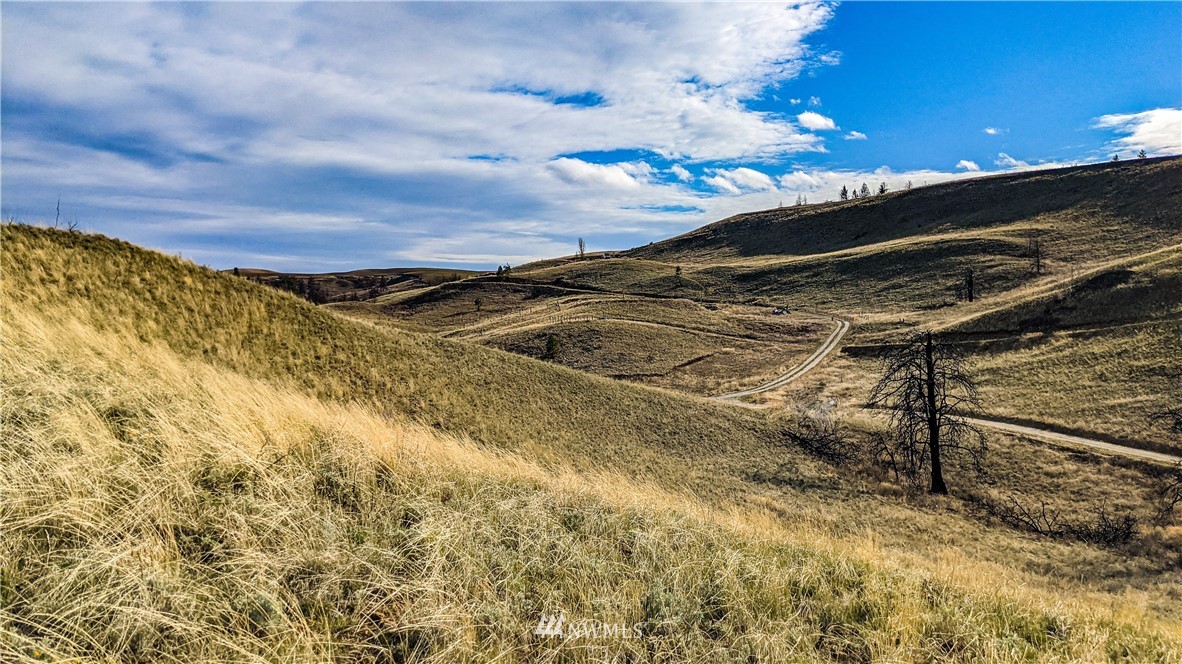 40 Rocky Road West Orondo, WA 98843 - Photo 38 of 40 Gallery Image 38