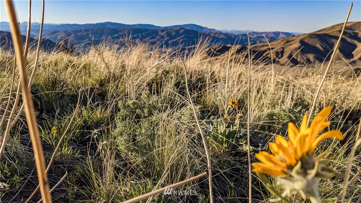 40 Rocky Road West Orondo, WA 98843 - Photo 40 of 40 Gallery Image 40