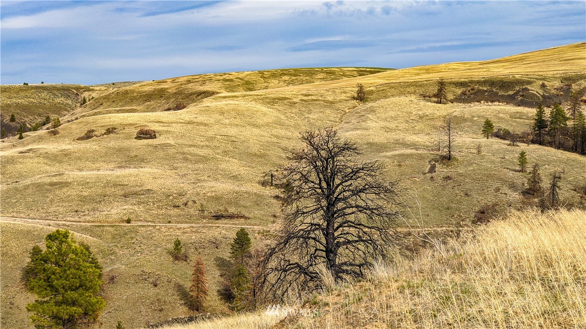 40 Rocky Road West Orondo, WA 98843 - Photo 7 of 40 Gallery Image 7