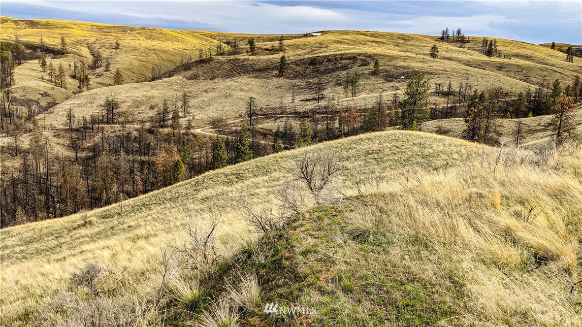 40 Rocky Road West Orondo, WA 98843 - Photo 9 of 40 Gallery Image 9