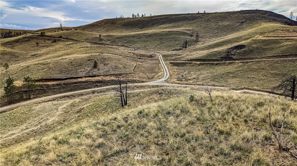 40 Rocky Road West Orondo, WA 98843 - Photo 10 of 40 Gallery Image 10