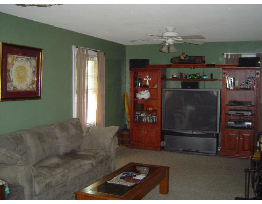 60 Corona Street Springfield, MA 01104 - Photo 5 of 6 a living room with furniture and a fireplace