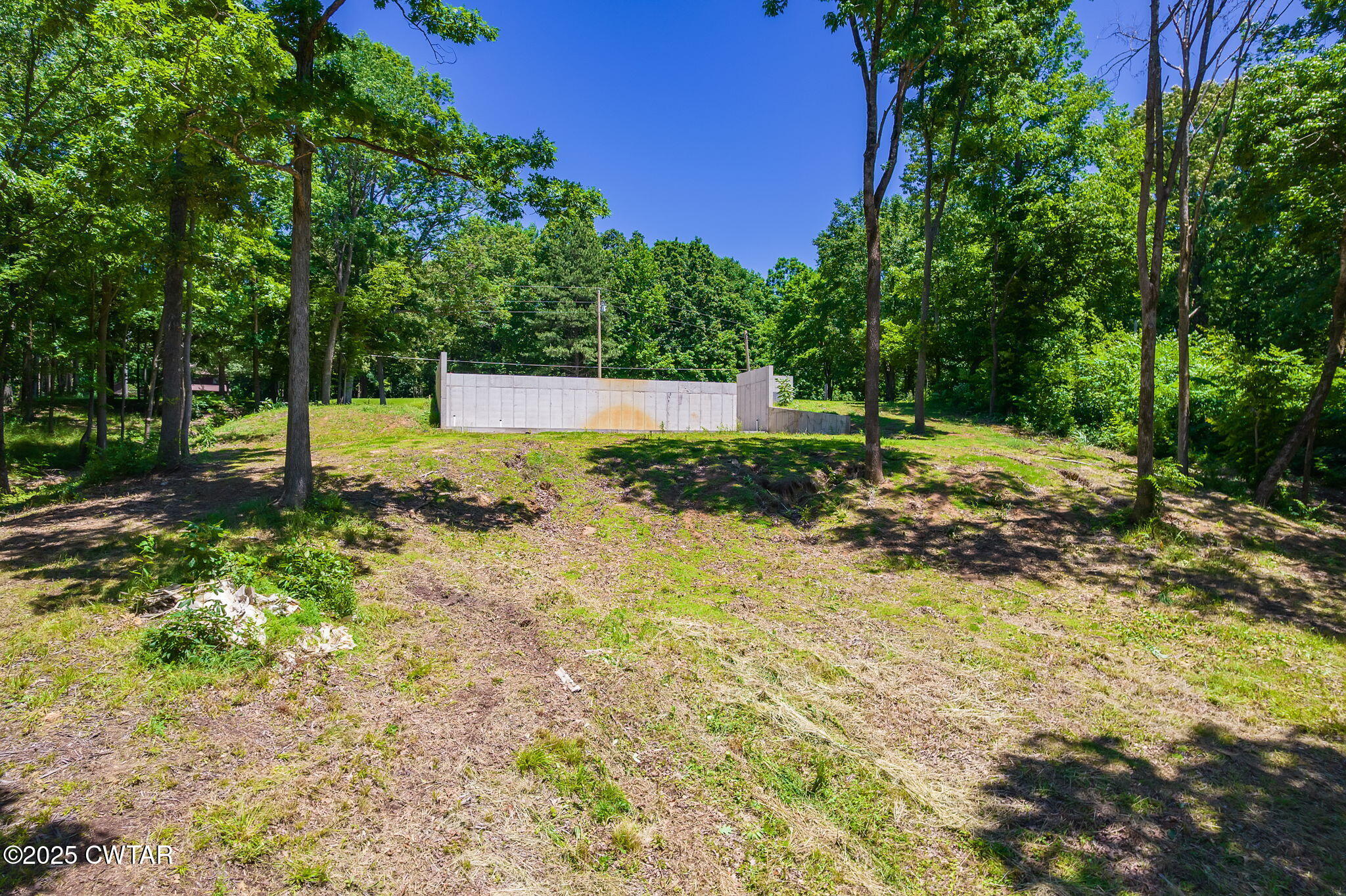 64 Lake Hayes Estates Road Trenton, TN 38382 - Photo 11 of 25 a view of backyard